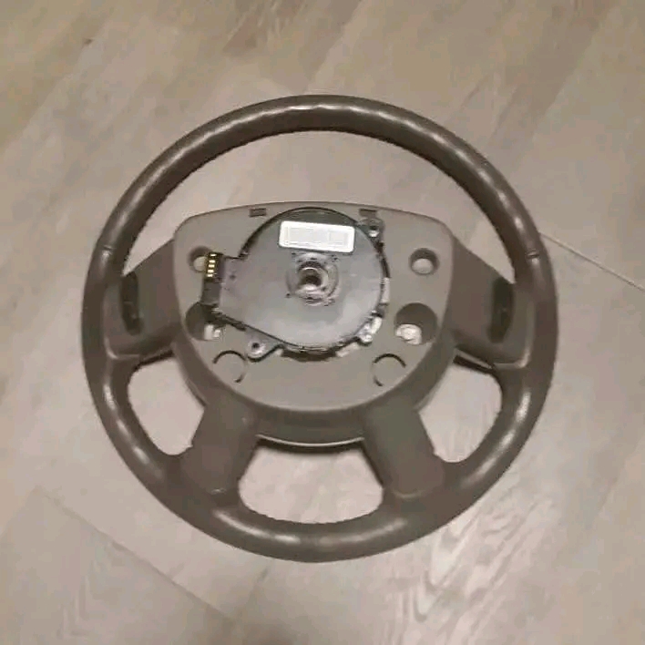 Steering Wheel View 1